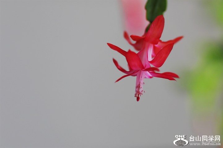 e5bd4af3211145838fa762bb62b6e642_720_0_max_JPG (1).jpg