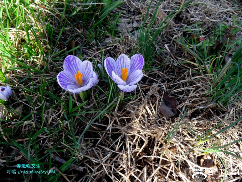 DSC01760c_1.jpg