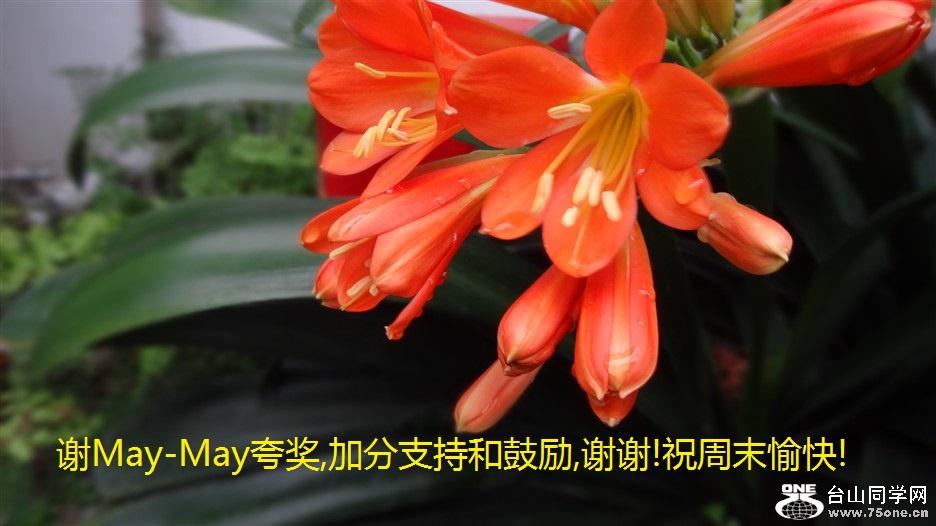 лMay-May佱,ӷֺ֧͹,лл!ףĩ!.jpg