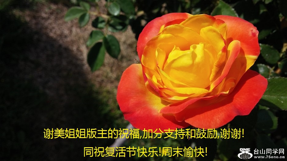 лף,ӷֺ֧͹,лл!.jpg