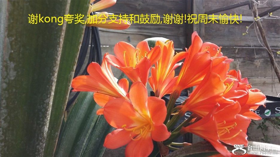 лkong佱,ӷֺ֧͹,лл!ףĩ!.jpg