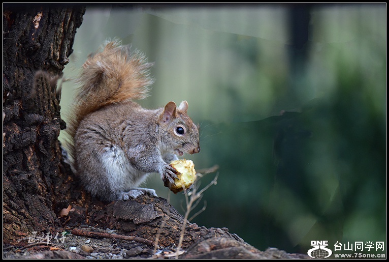 DSC_2961.jpg