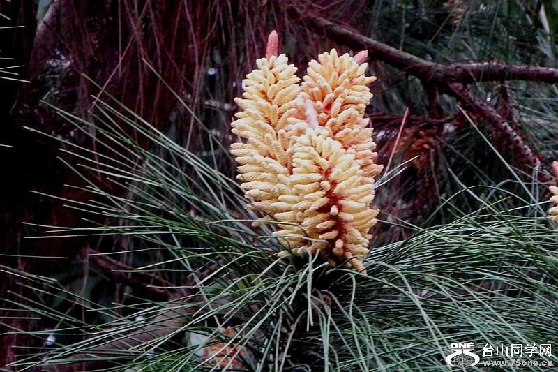 DSCF0414.JPG