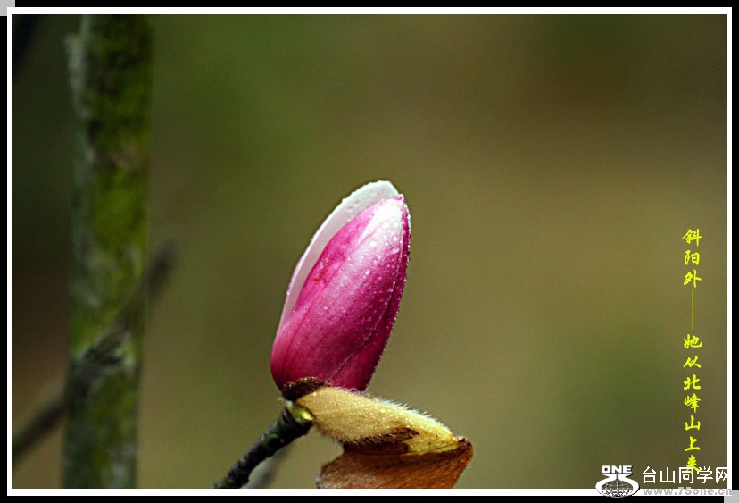 DPP_201.2.140428_.jpg