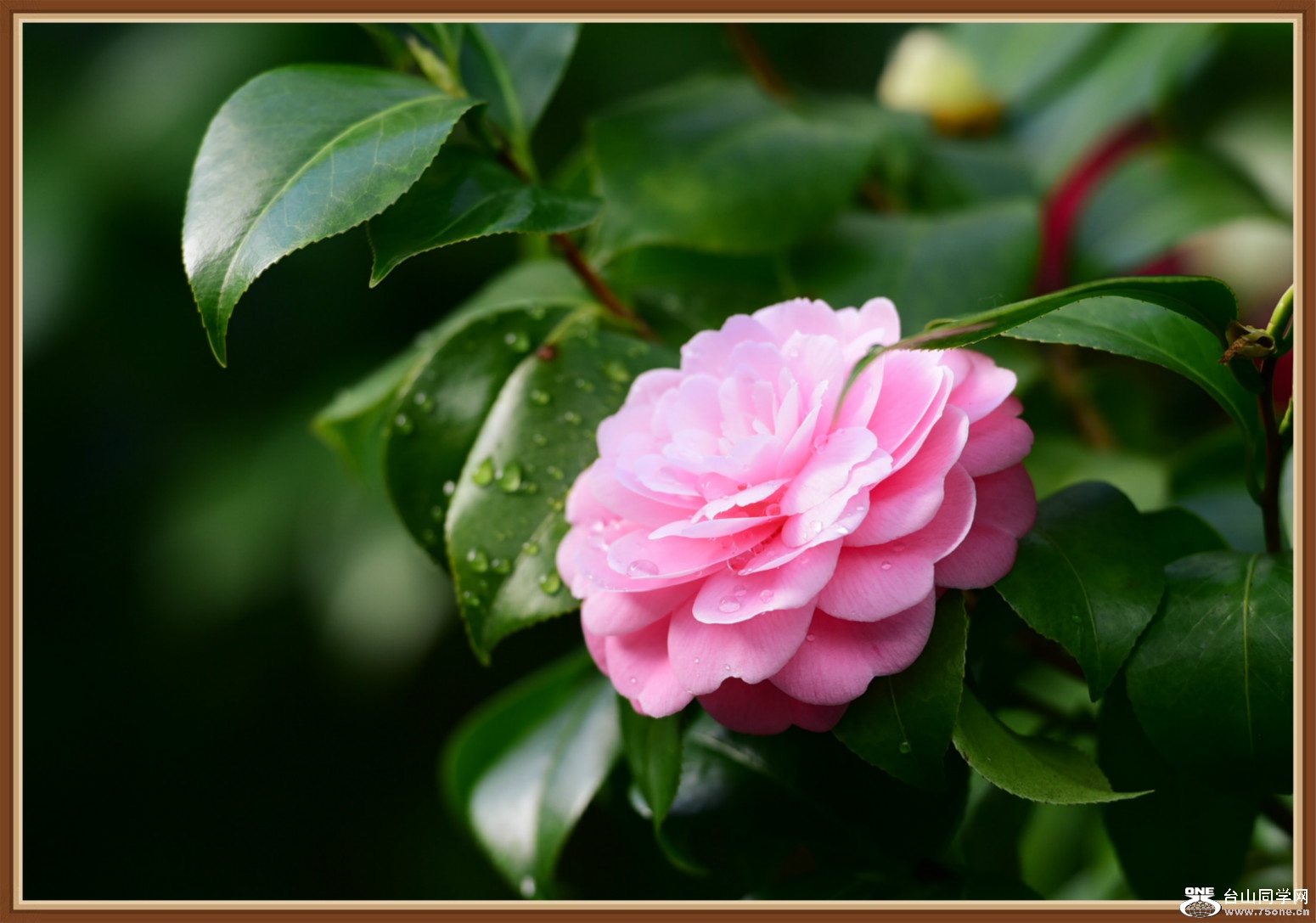 DSC_2762.JPG