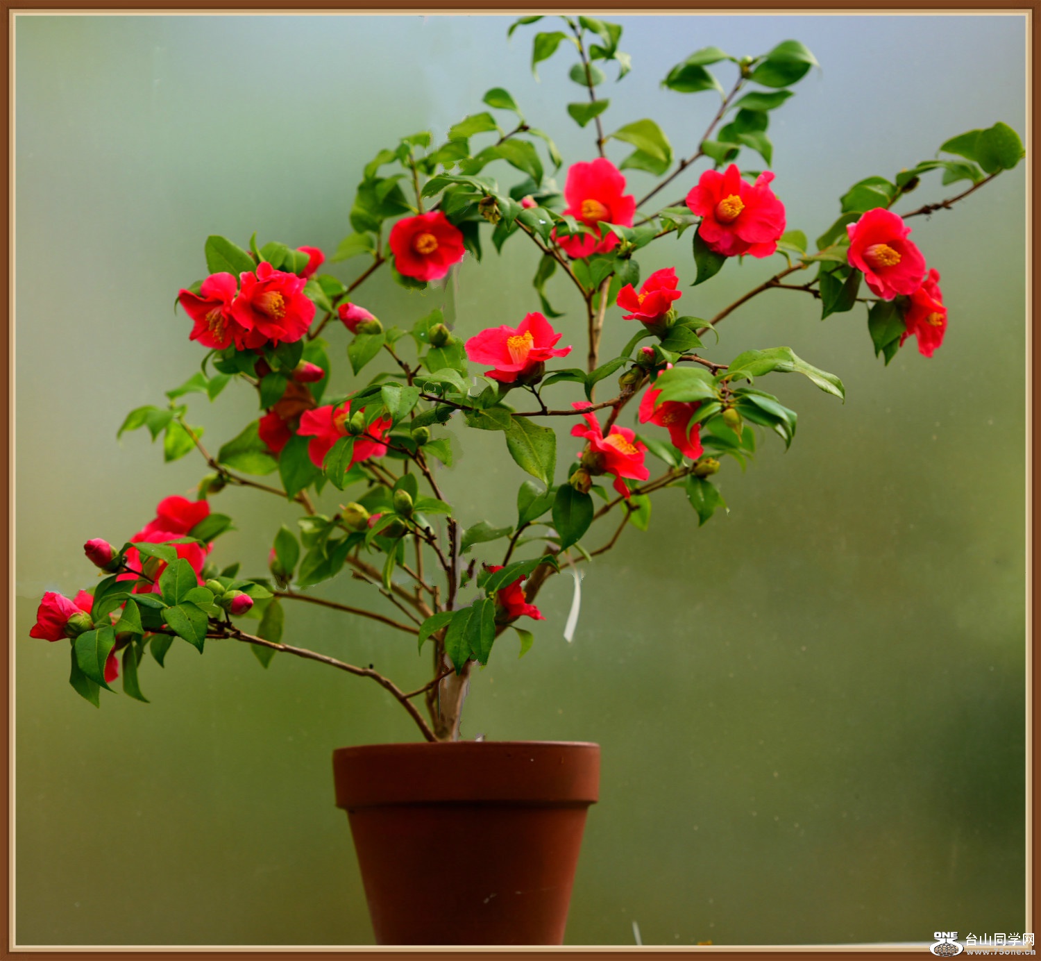 DSC_001_meitu_21.jpg