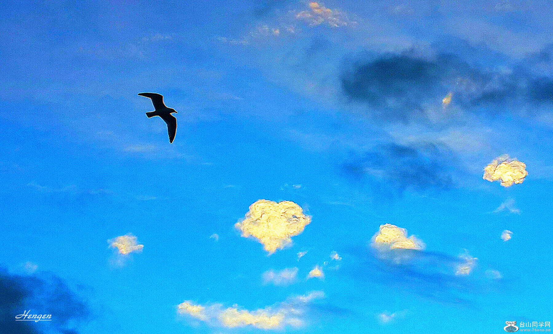 2015-12-24 07.28.57.jpg