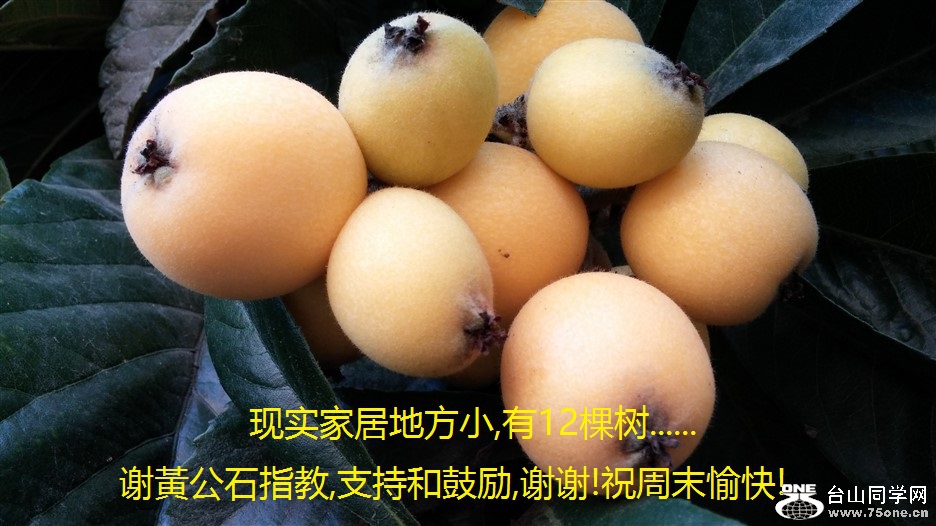 ʵҾӵطС,12.....лSʯָ,ֺ֧͹,лл!ףĩ!.jpg