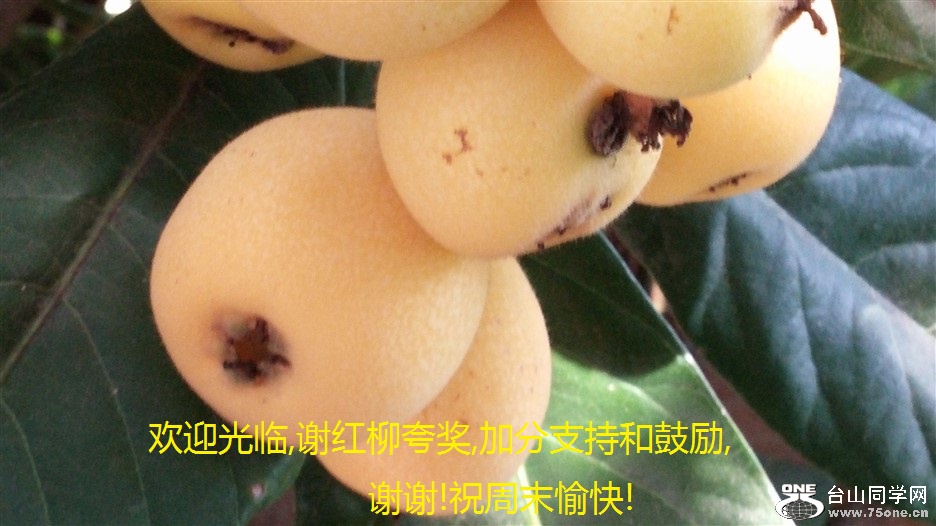ӭ,л佱,ӷֺ֧͹,лл!ףĩ!.jpg