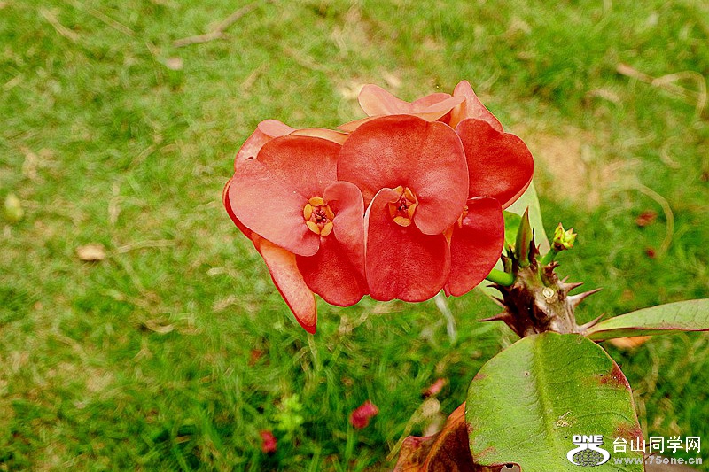 DSCF4036.JPG