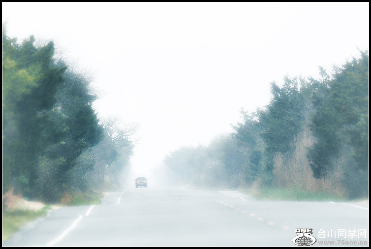 DSC_9517.jpg