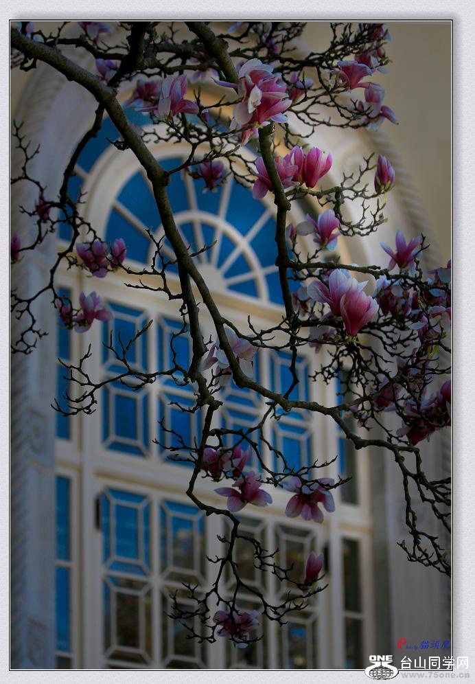 }u -AʢDpѻ-3 822-2.jpg