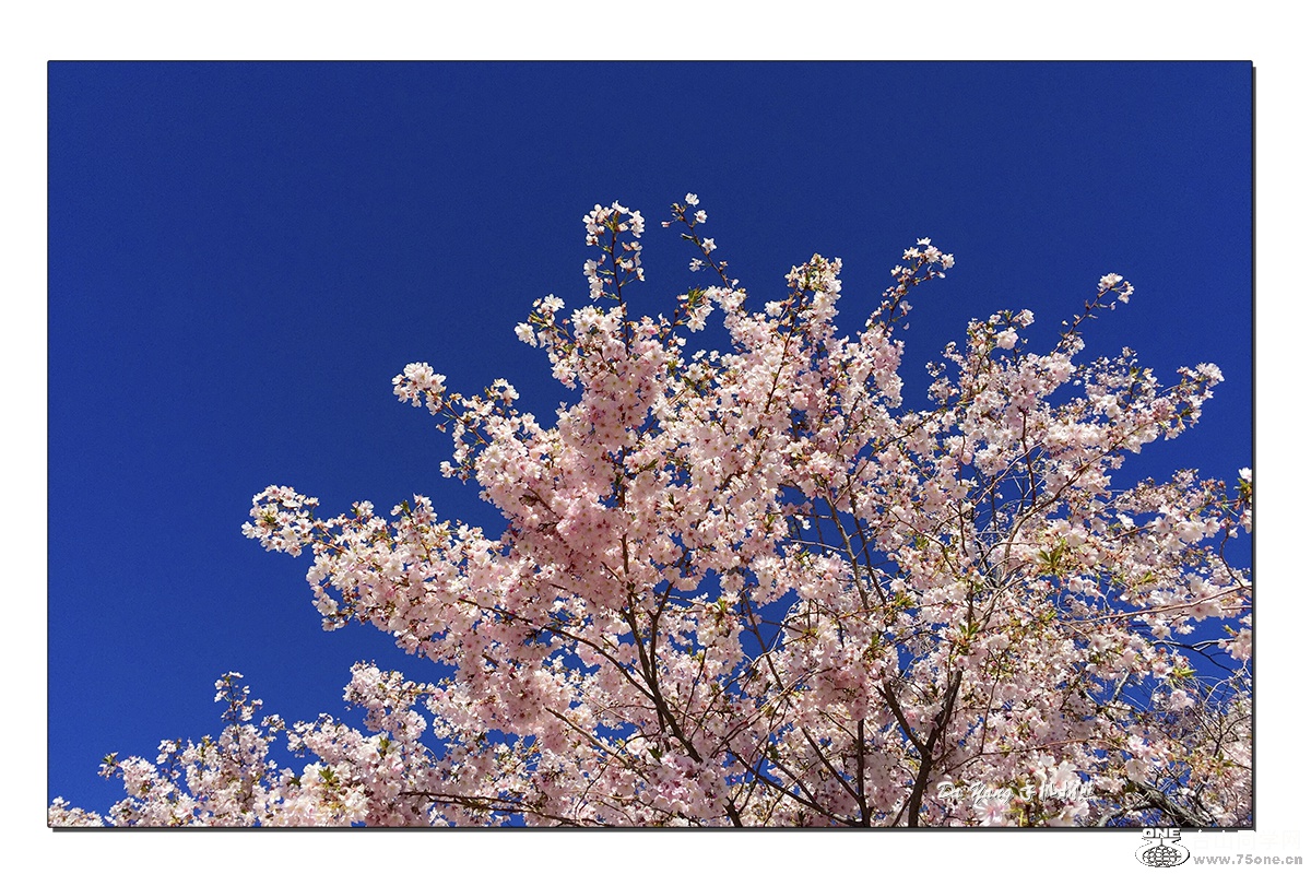 QQͼƬ20160406111207-1.jpg