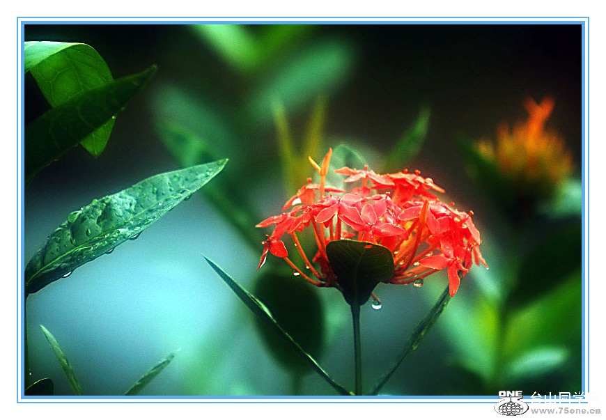 DPP_2015.8.150205_.jpg