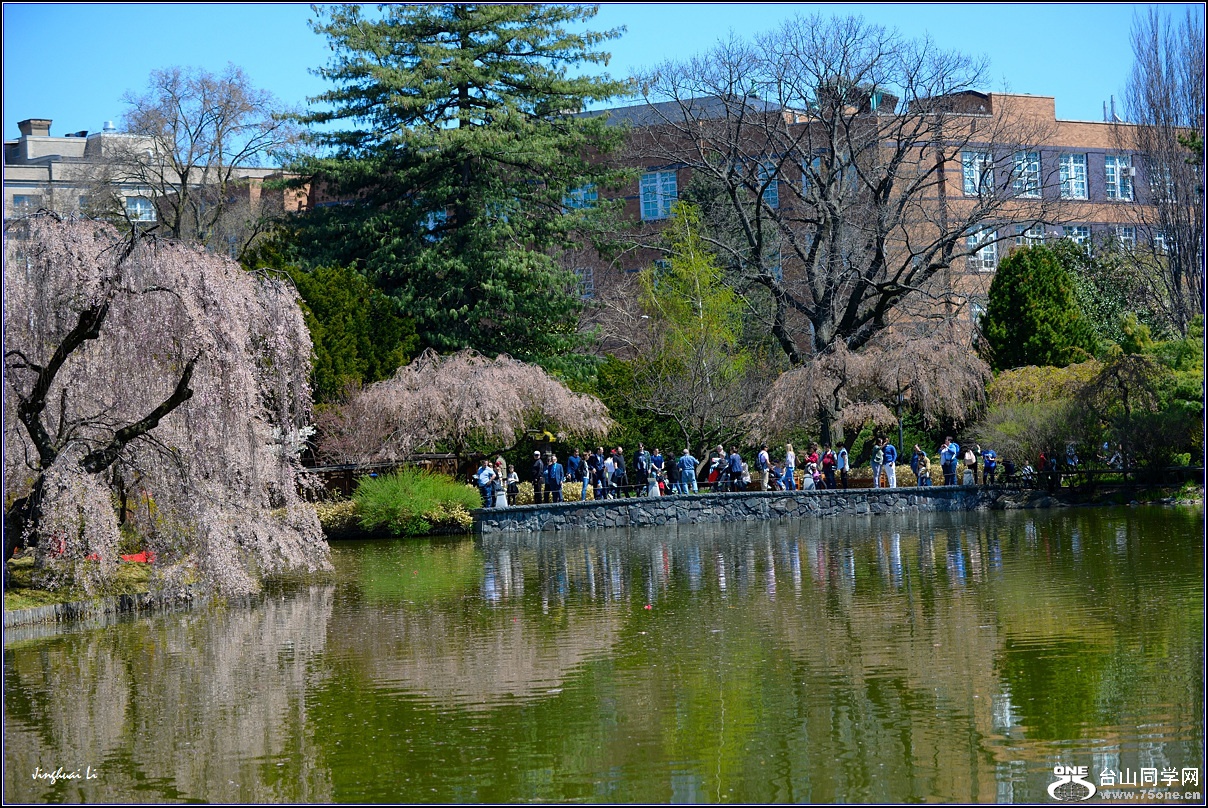 DSC_7679.jpg