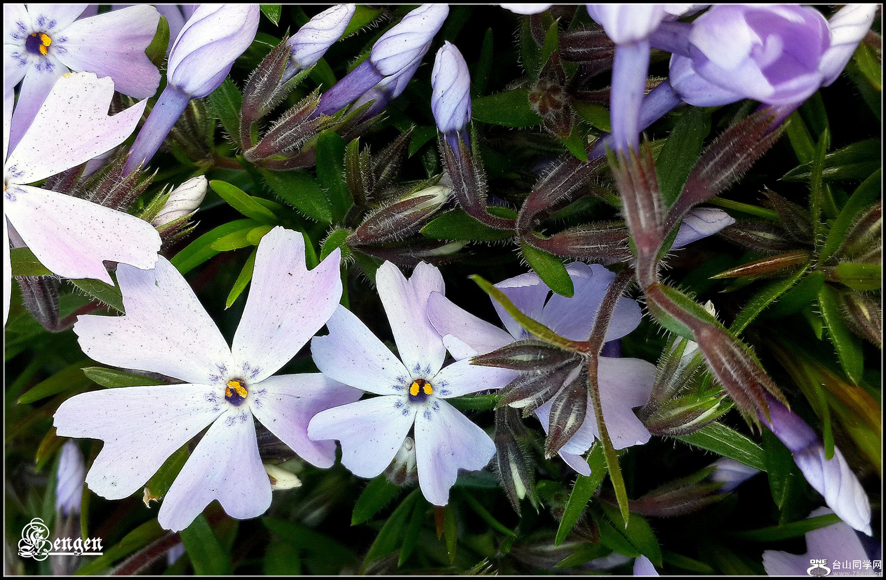 20160414_073515.jpg
