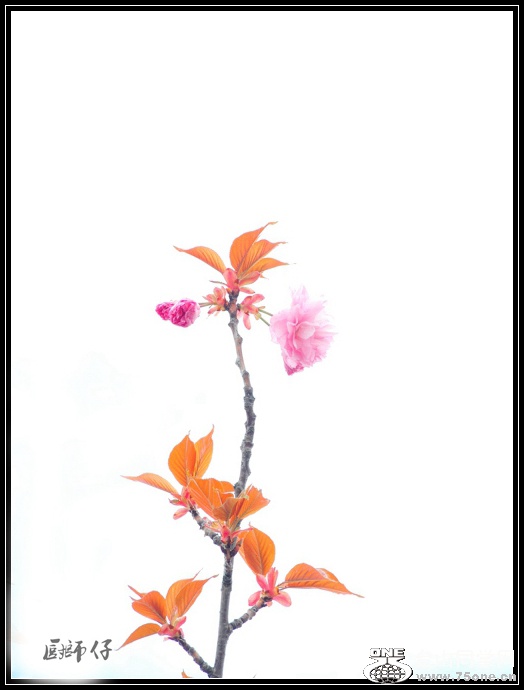DSCN1736.jpg