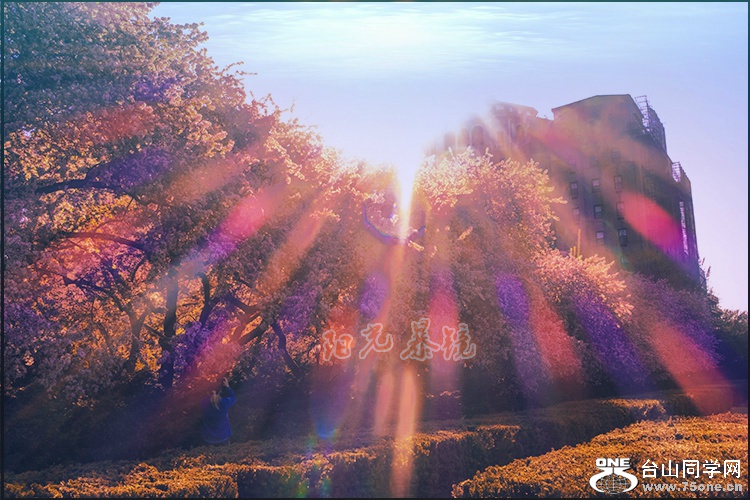 IMG_4828_meitu_3.jpg