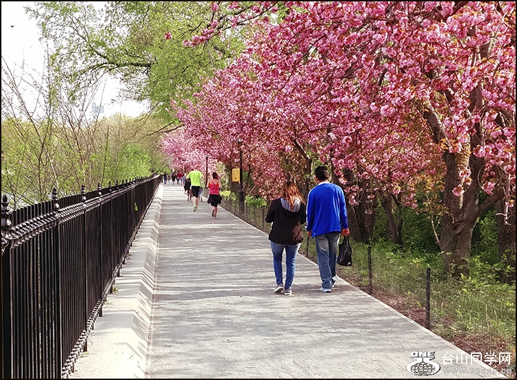 20160425_171954_meitu_1.jpg