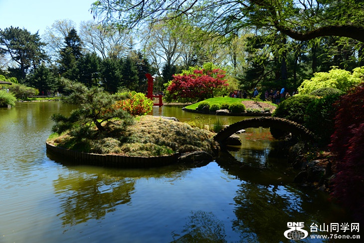 DSC_1285_.jpg
