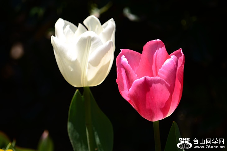 DSC_0804_.jpg