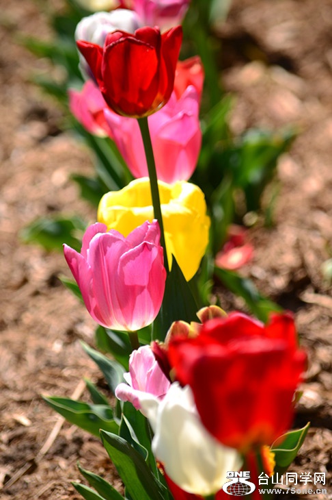 DSC_0818_.jpg