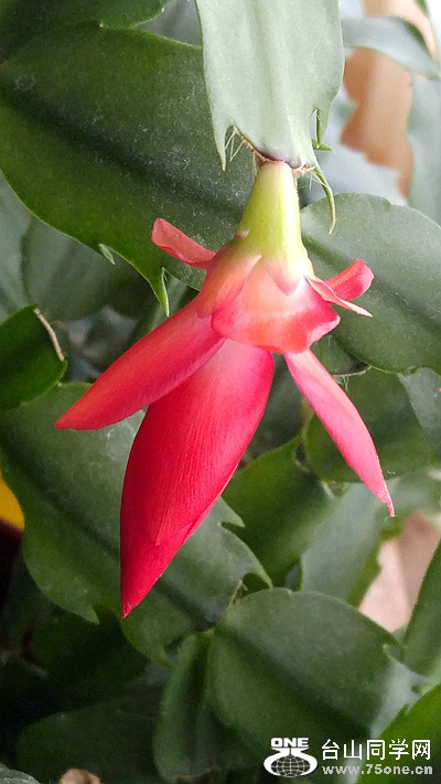 20160227_164657.jpg