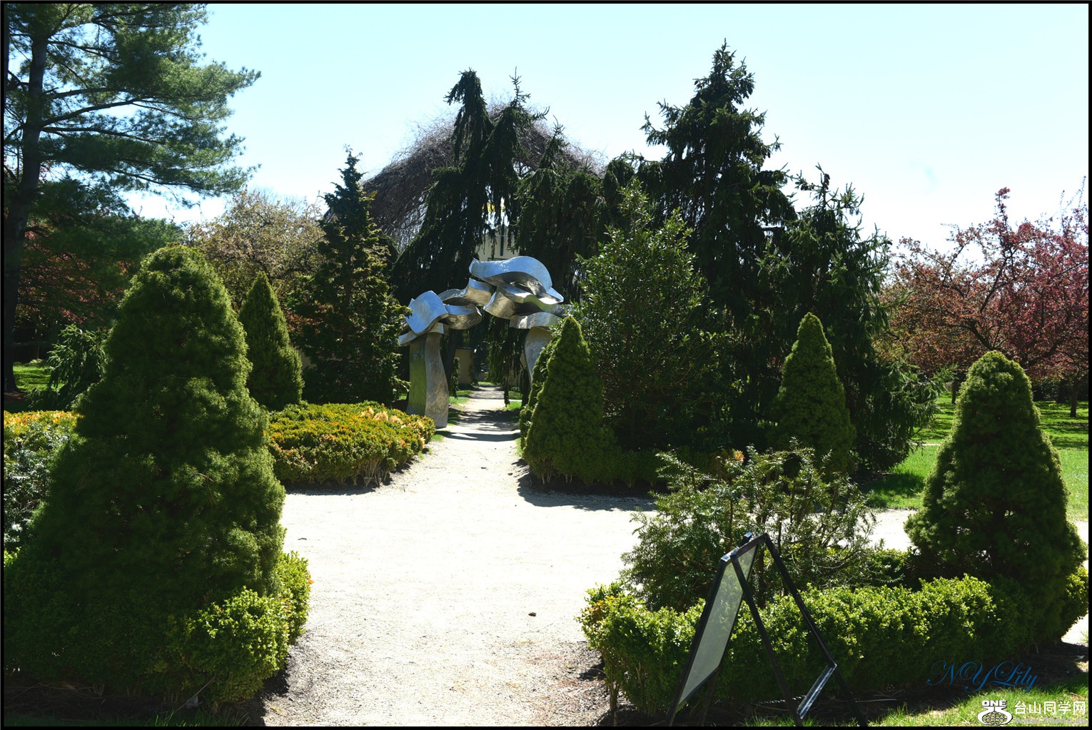 DSC_6767.jpg