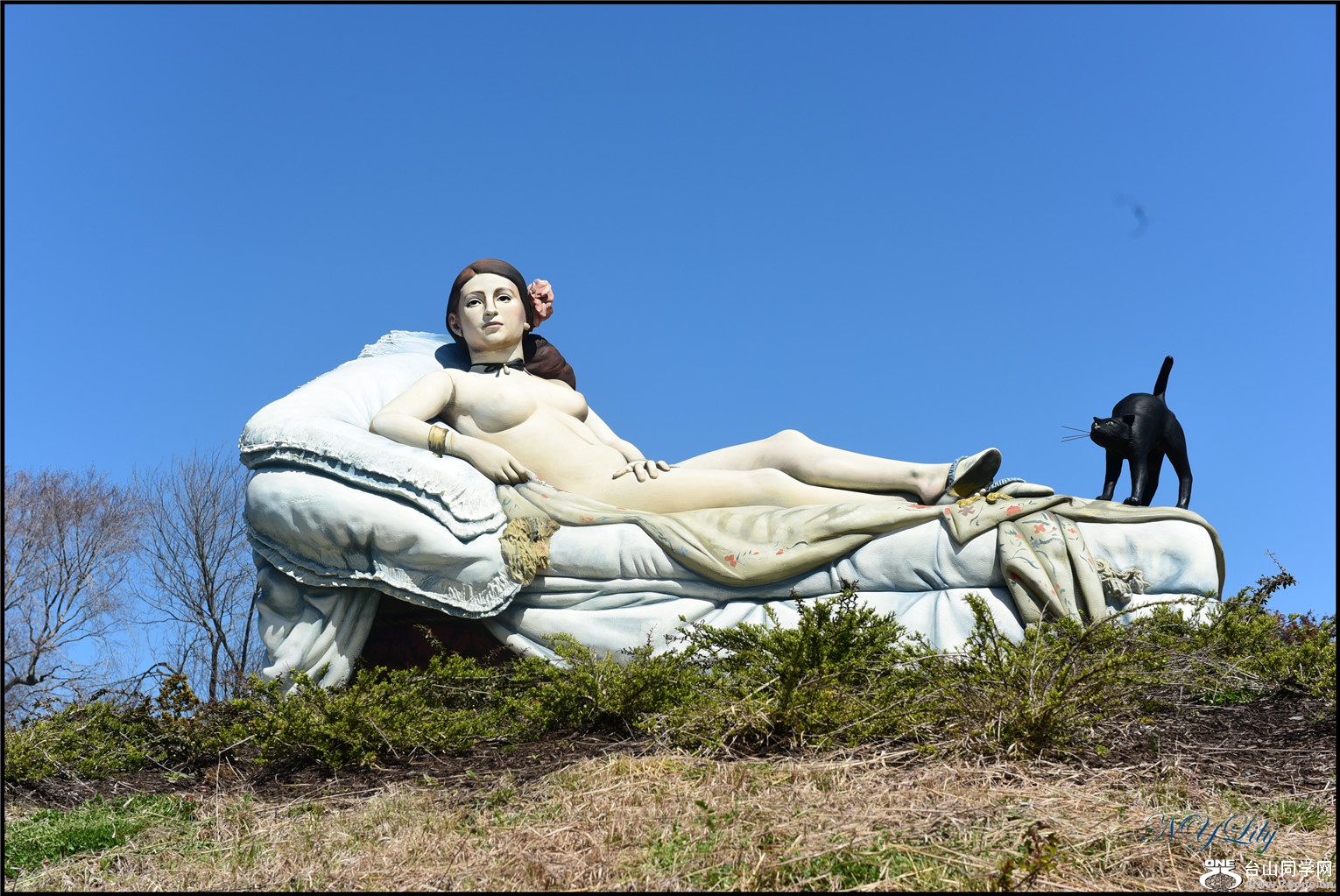 DSC_6722.jpg