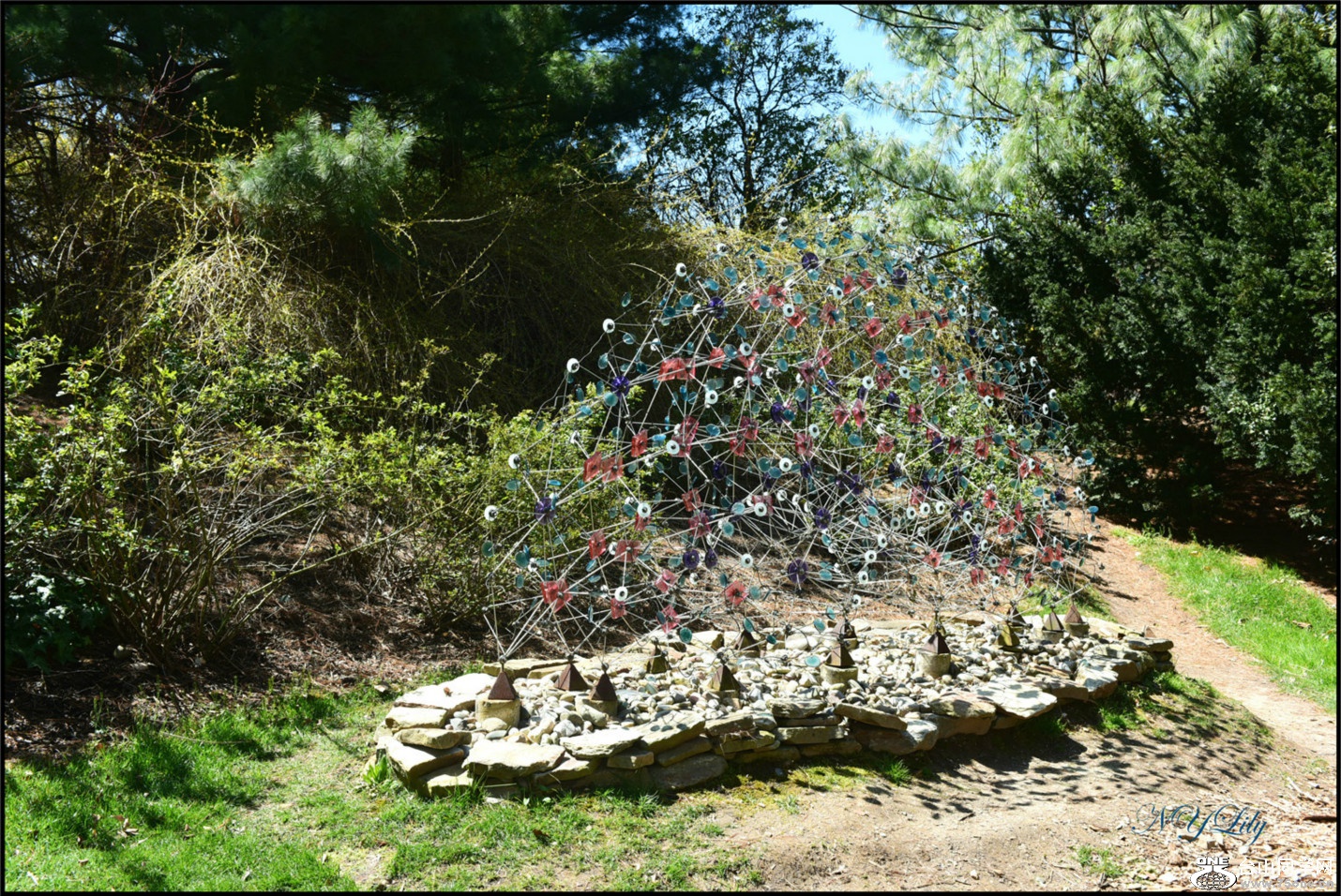DSC_6855.jpg