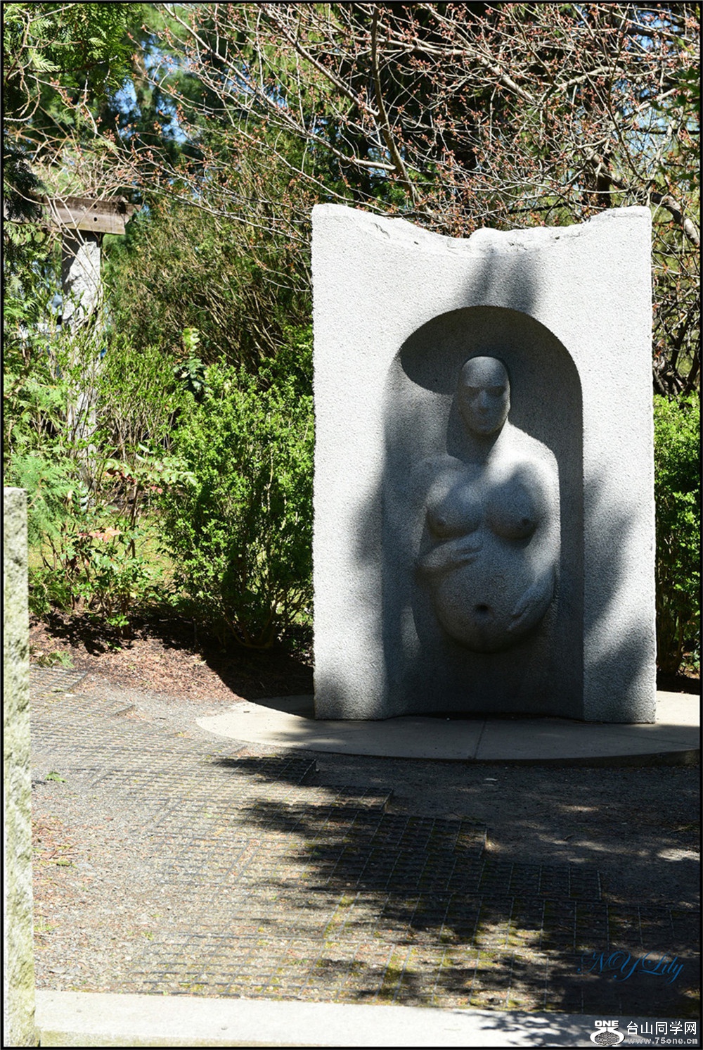 DSC_6851.jpg