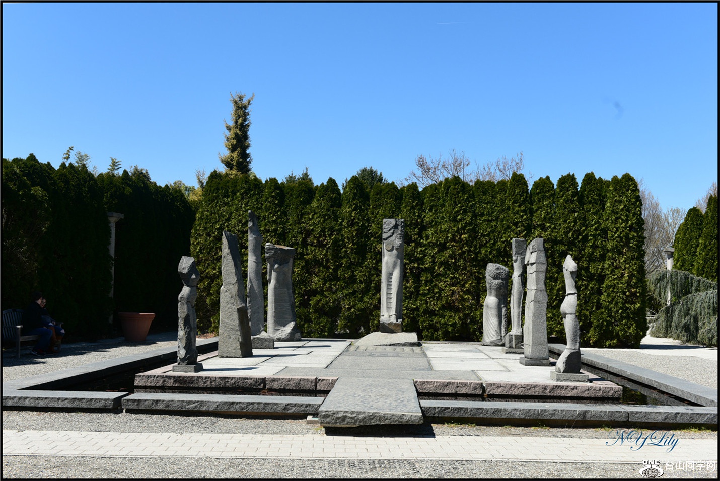 DSC_6893.jpg