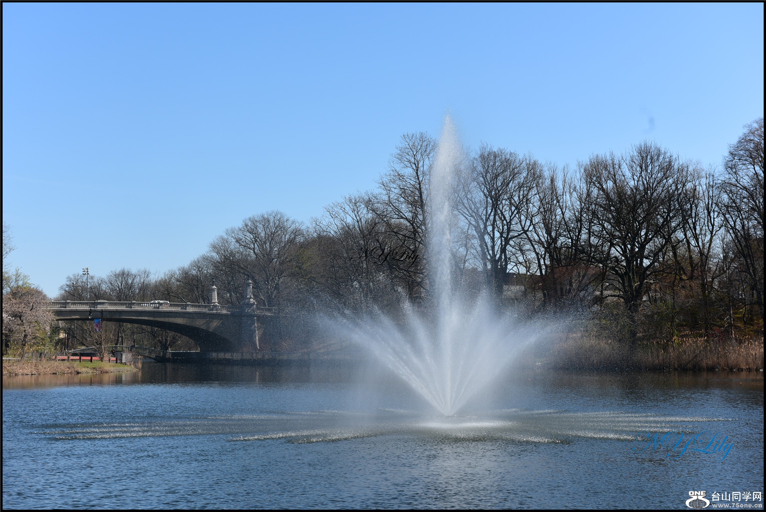 DSC_6681.jpg