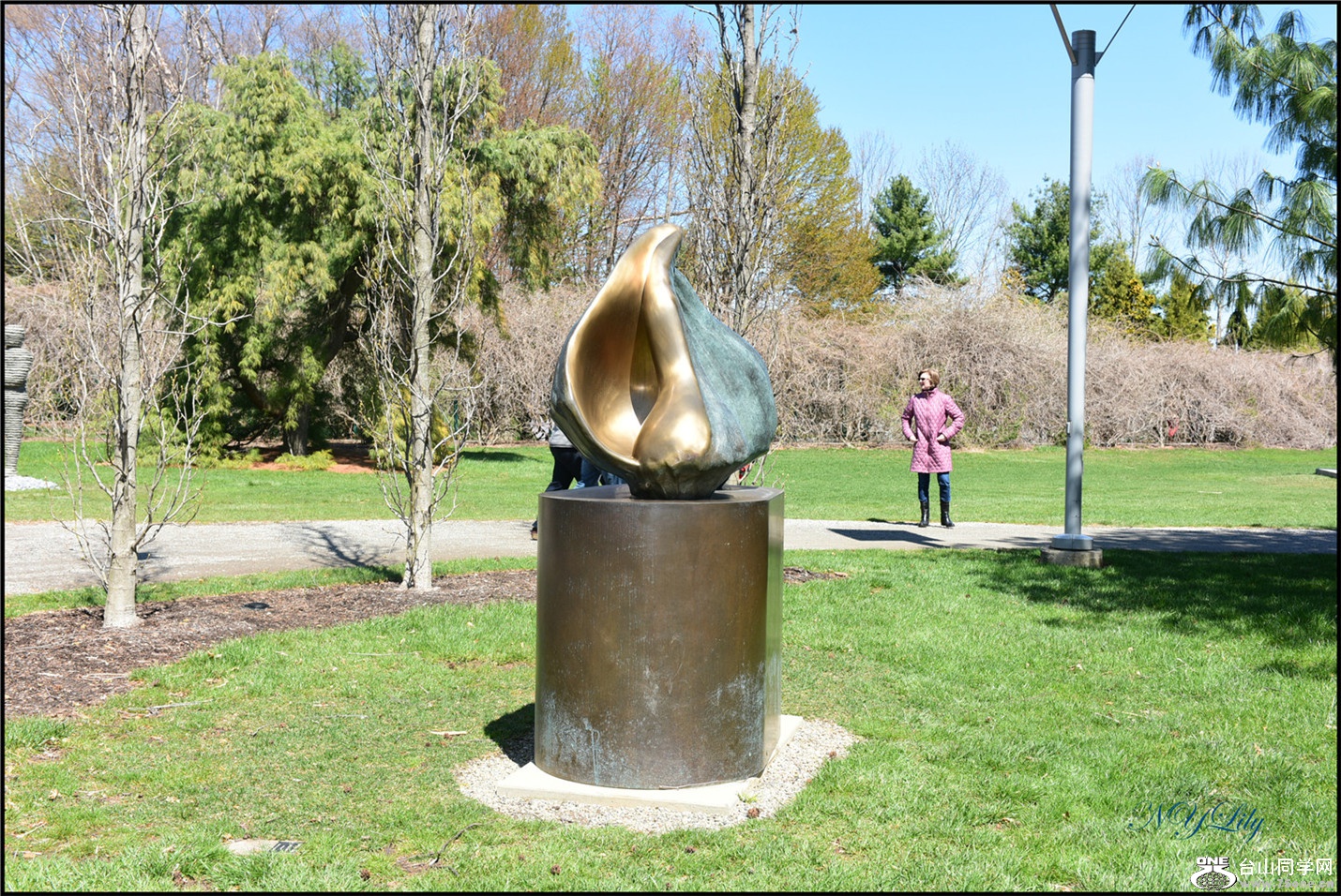 DSC_6888.jpg