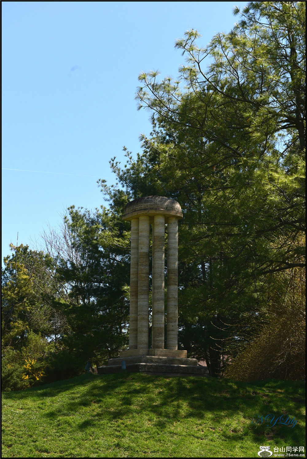 DSC_6873.jpg