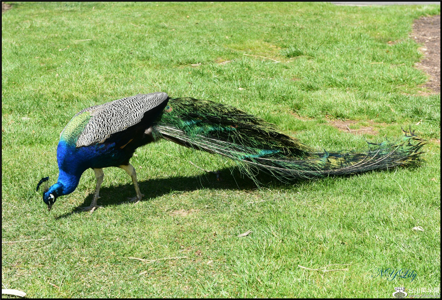 DSC_6926.jpg