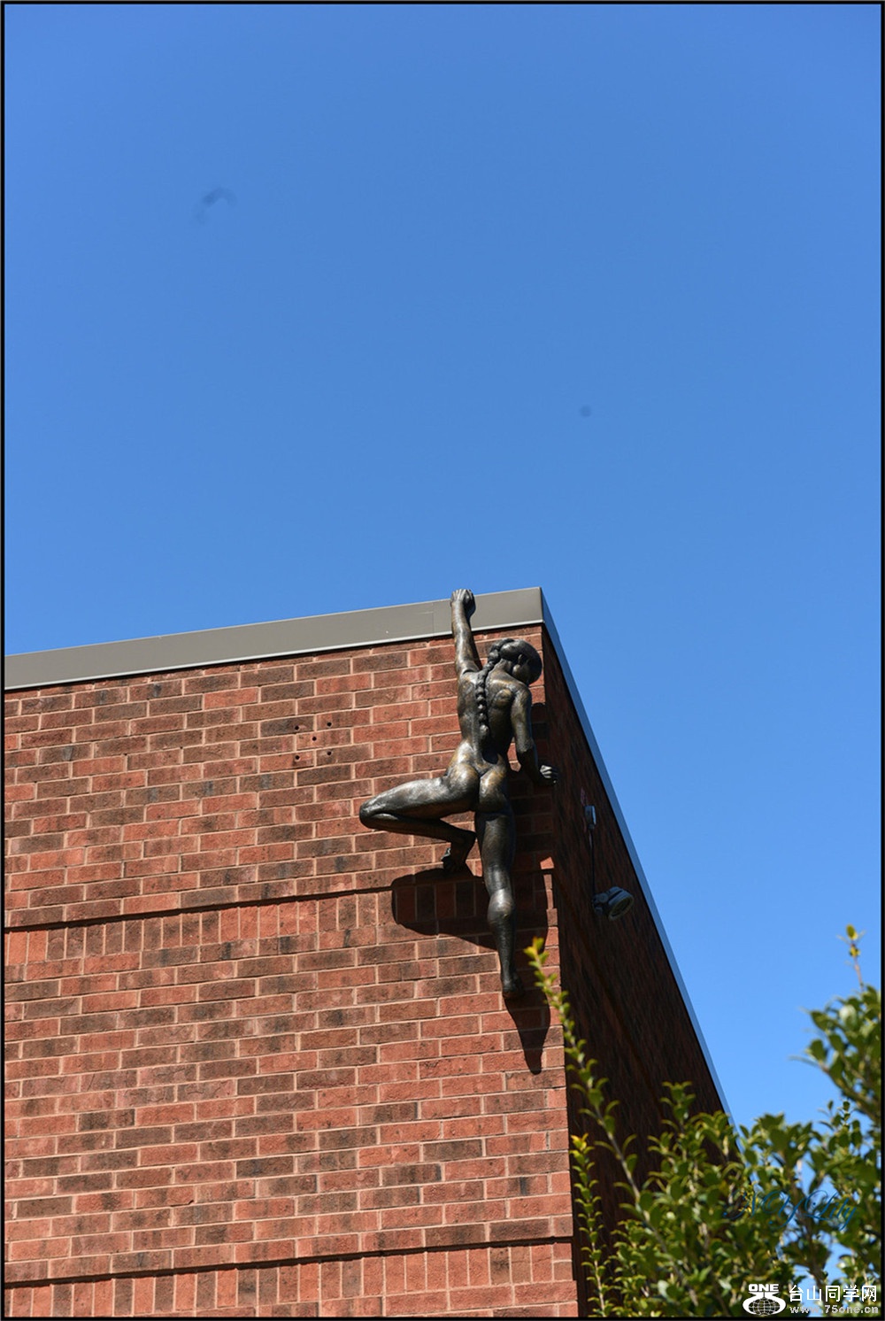 DSC_6911.jpg