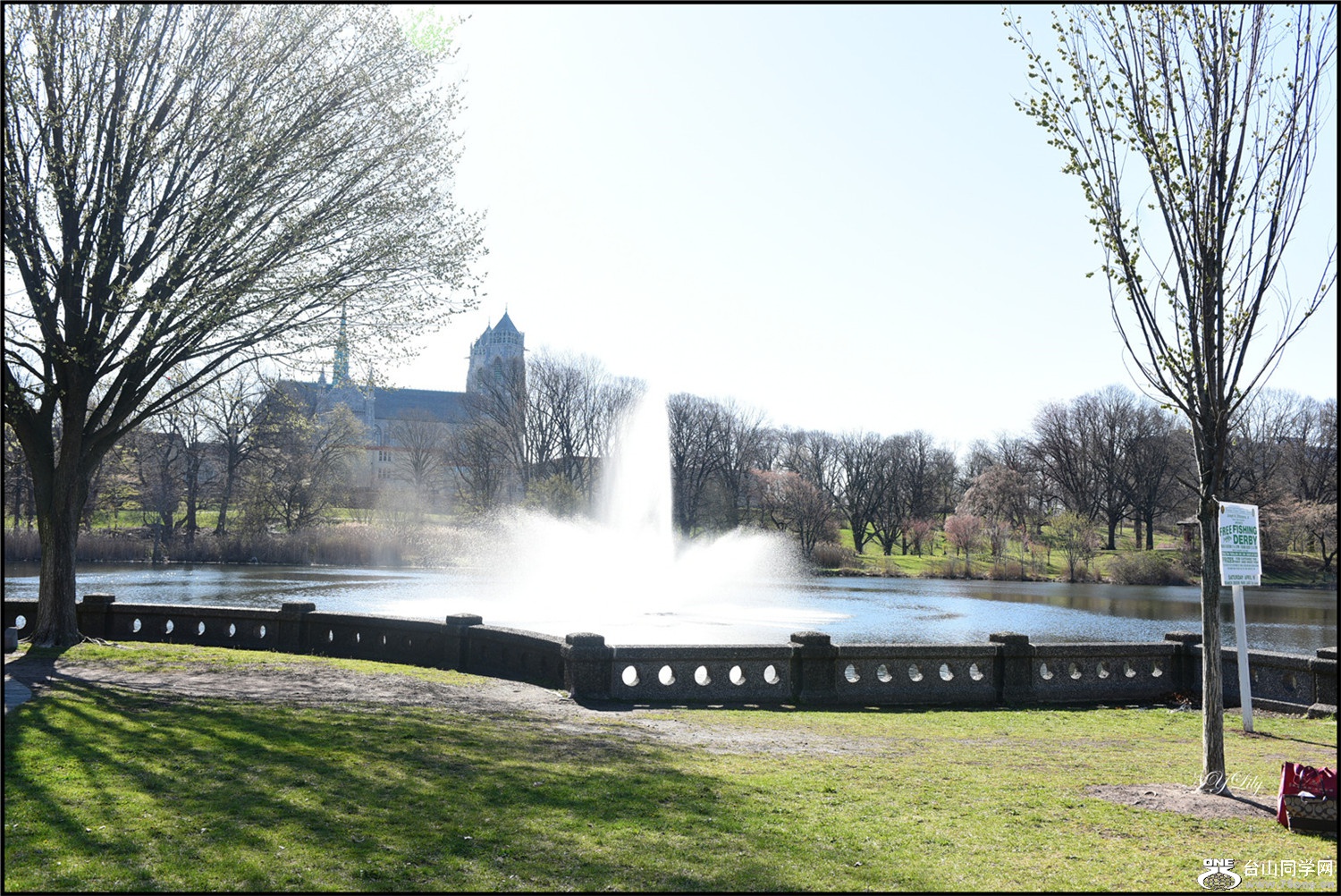 DSC_6556.JPG