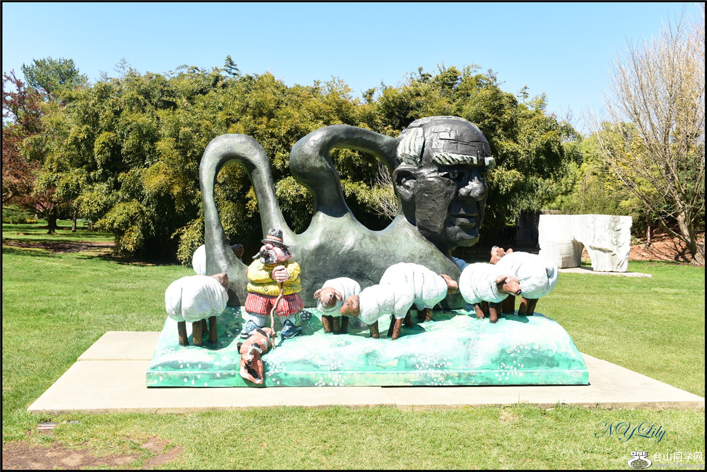 DSC_6912.jpg