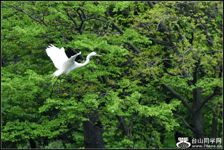 DSC_0723.JPG
