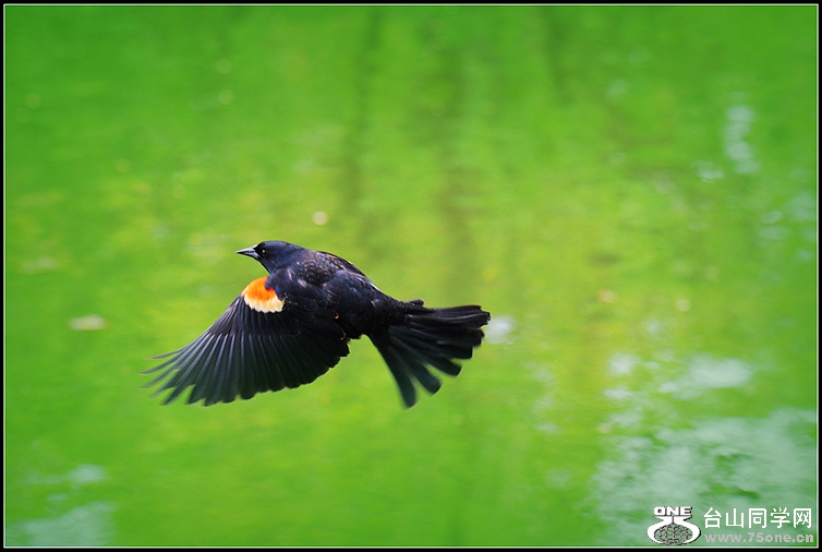 DSC_0699.JPG