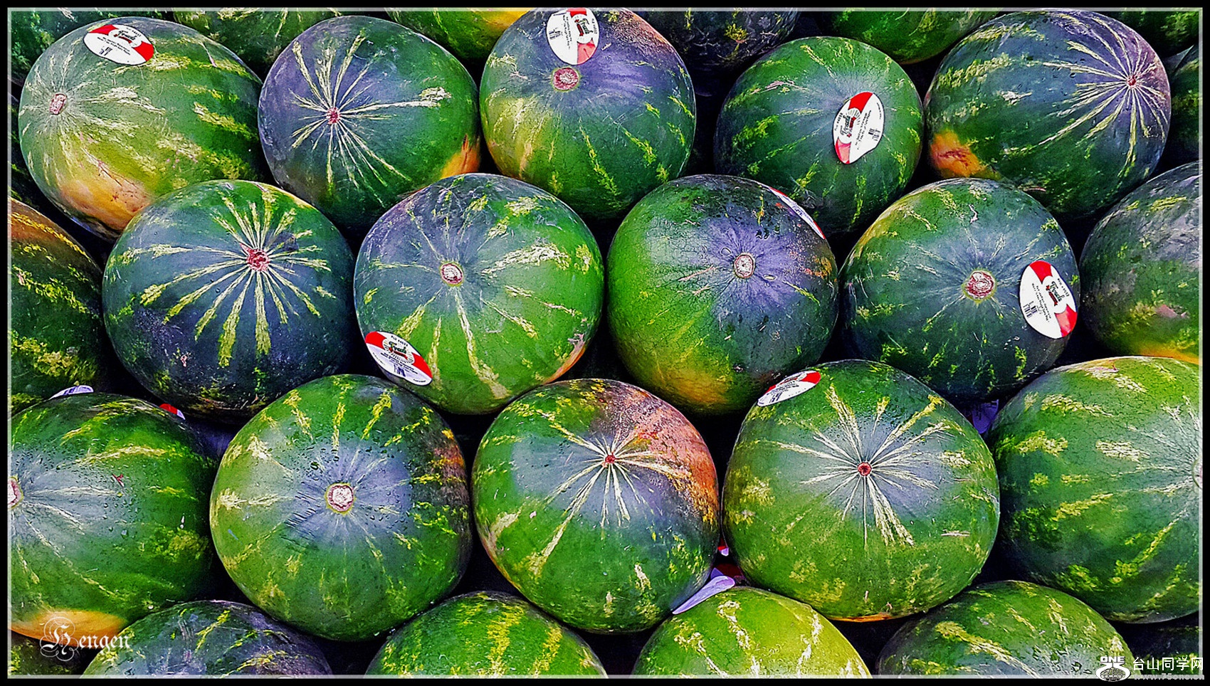 2016-05-07 15.01.59_.jpg