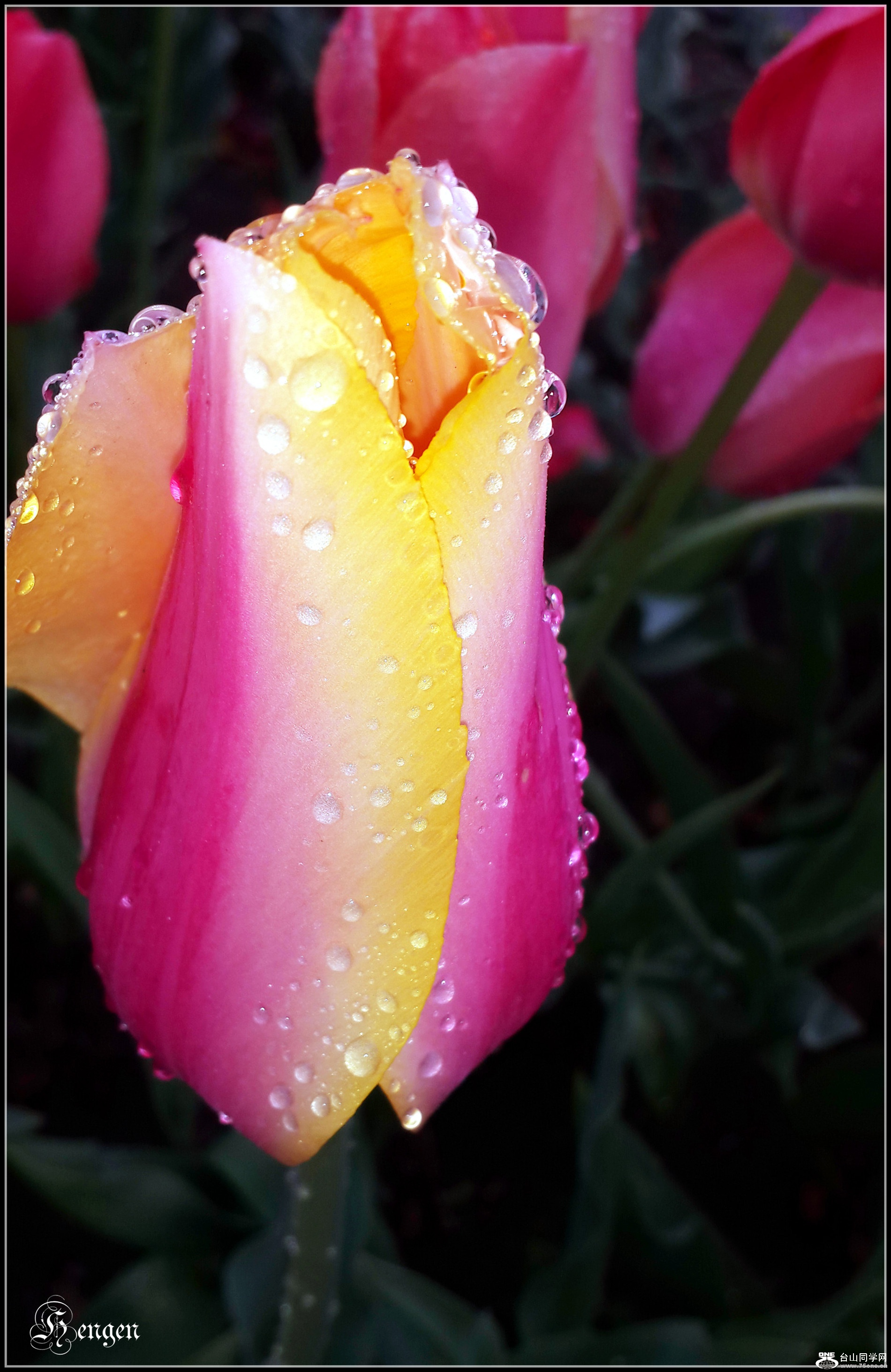 20160503_135209_.jpg