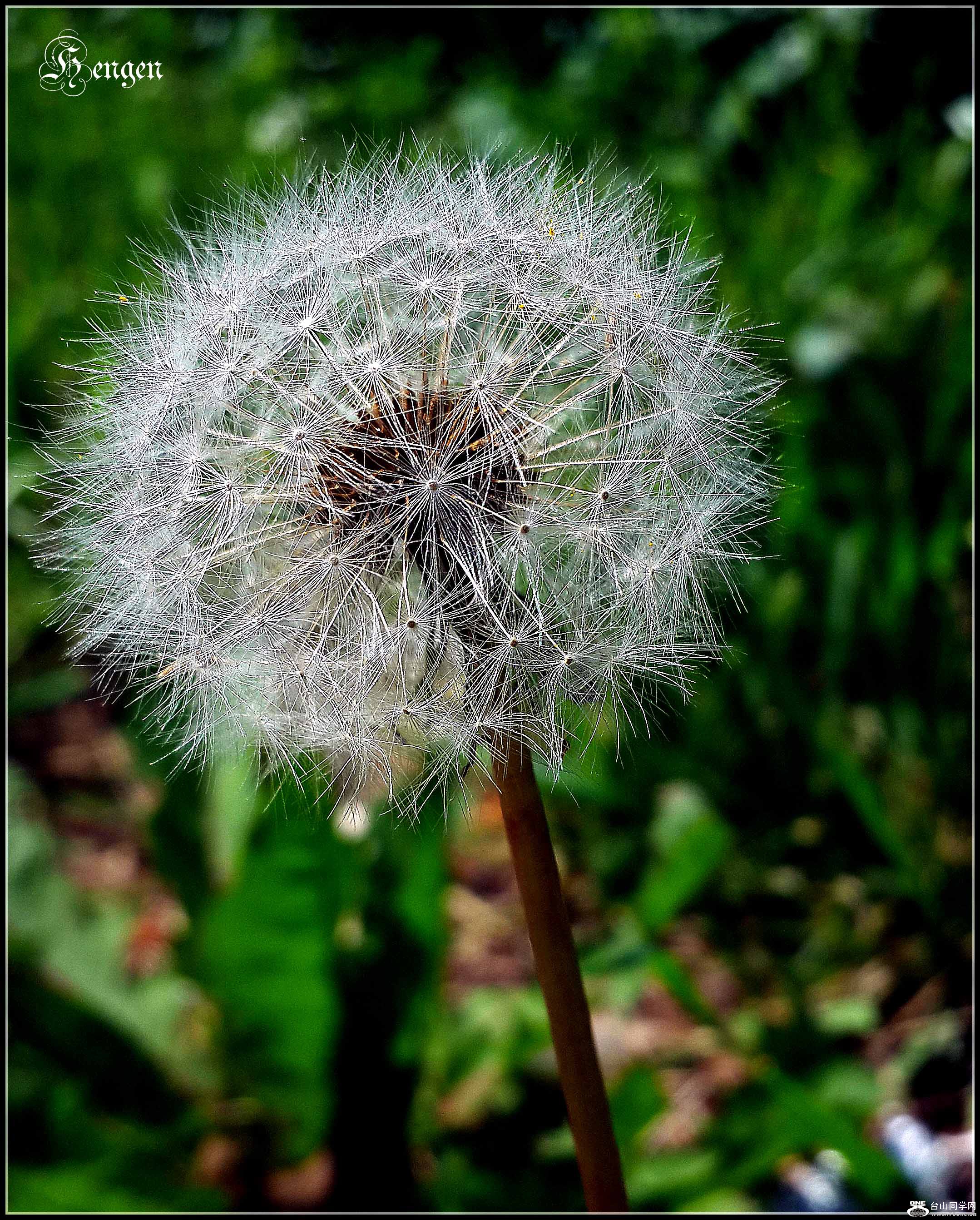20160526_105321.jpg