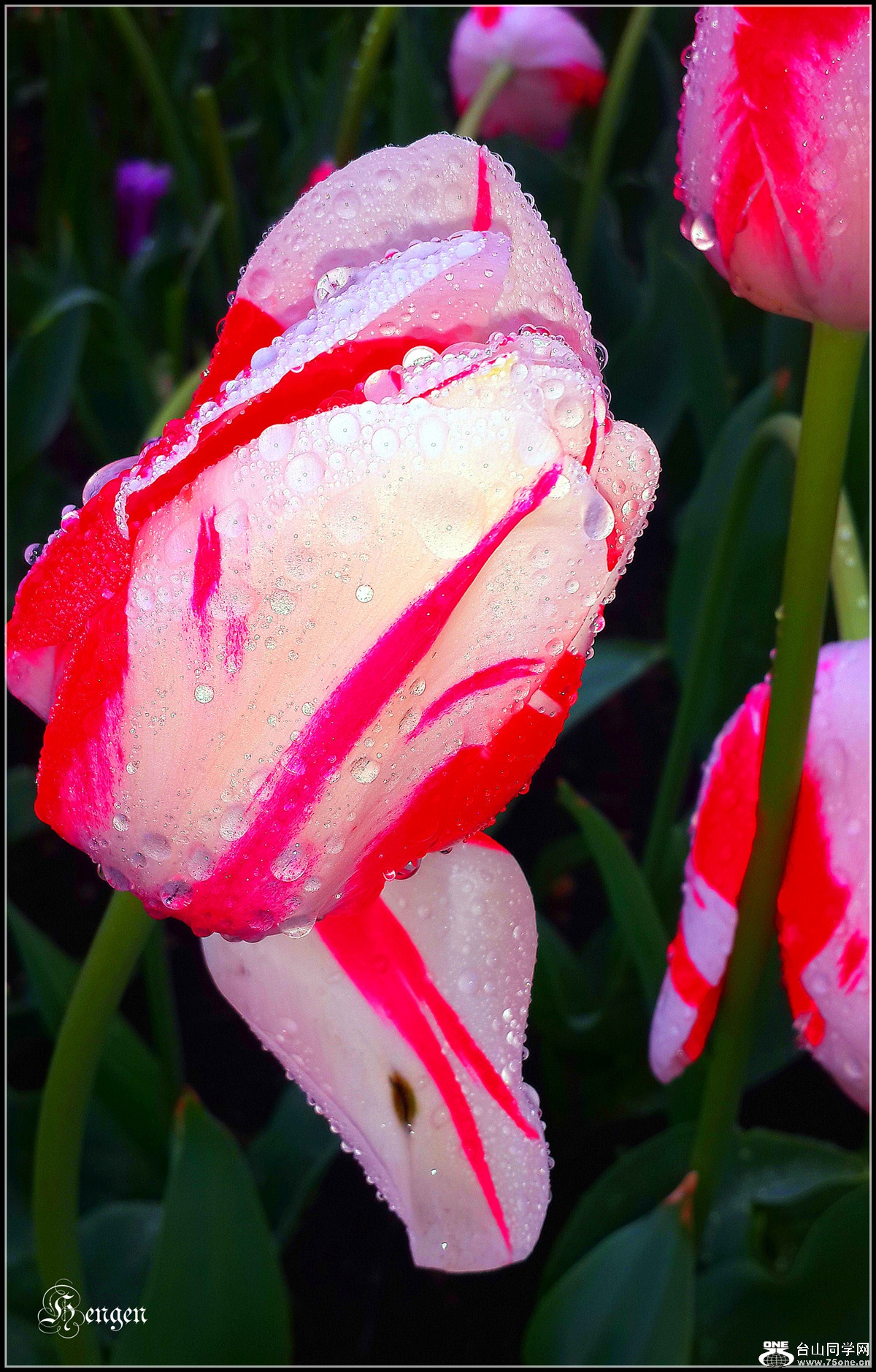 20160503_135103_.jpg