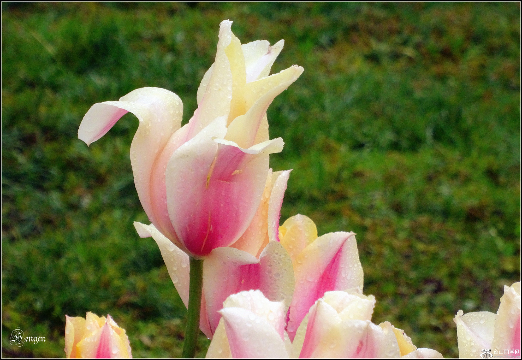 DSC03127_.jpg