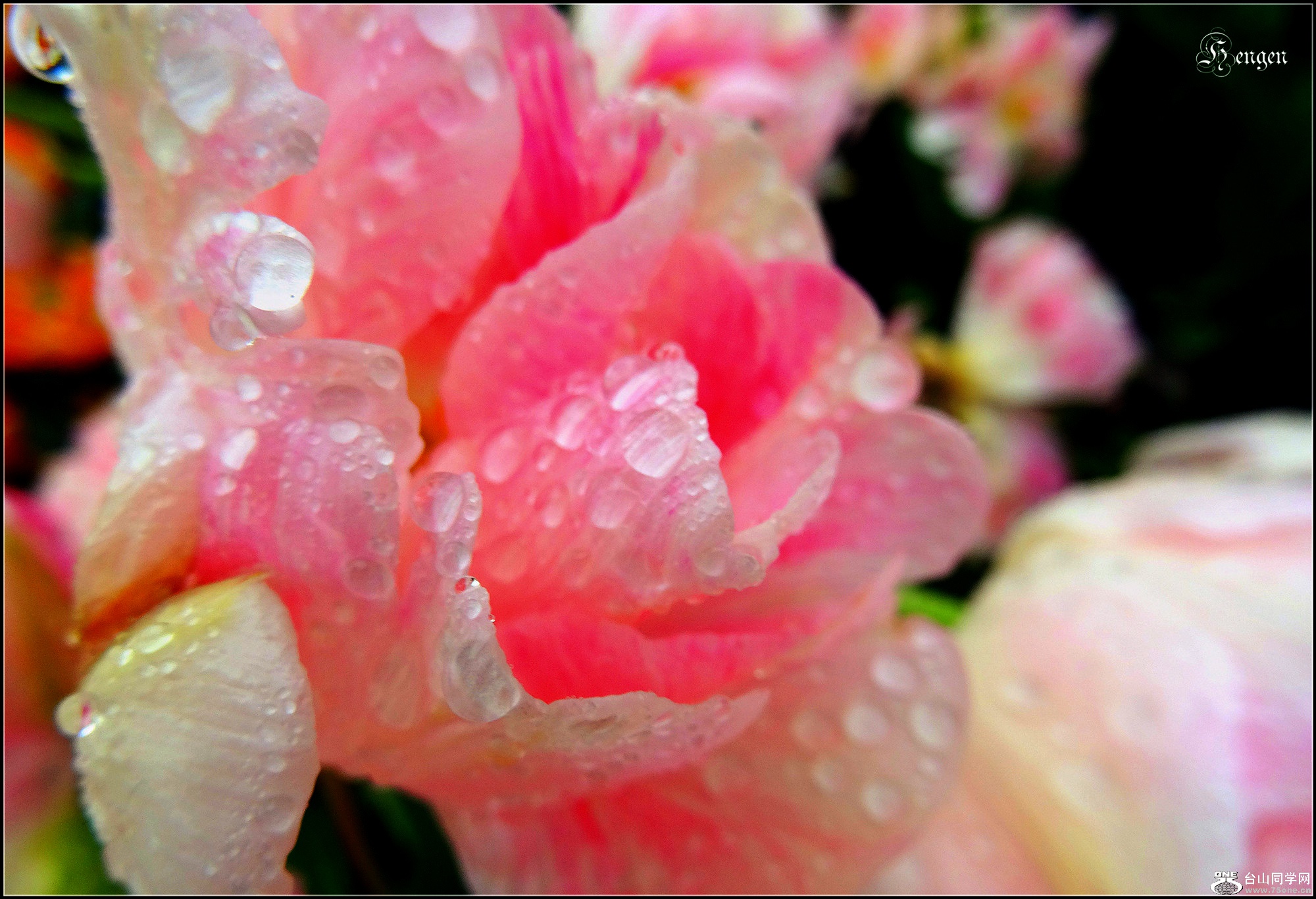 DSC03124_.jpg