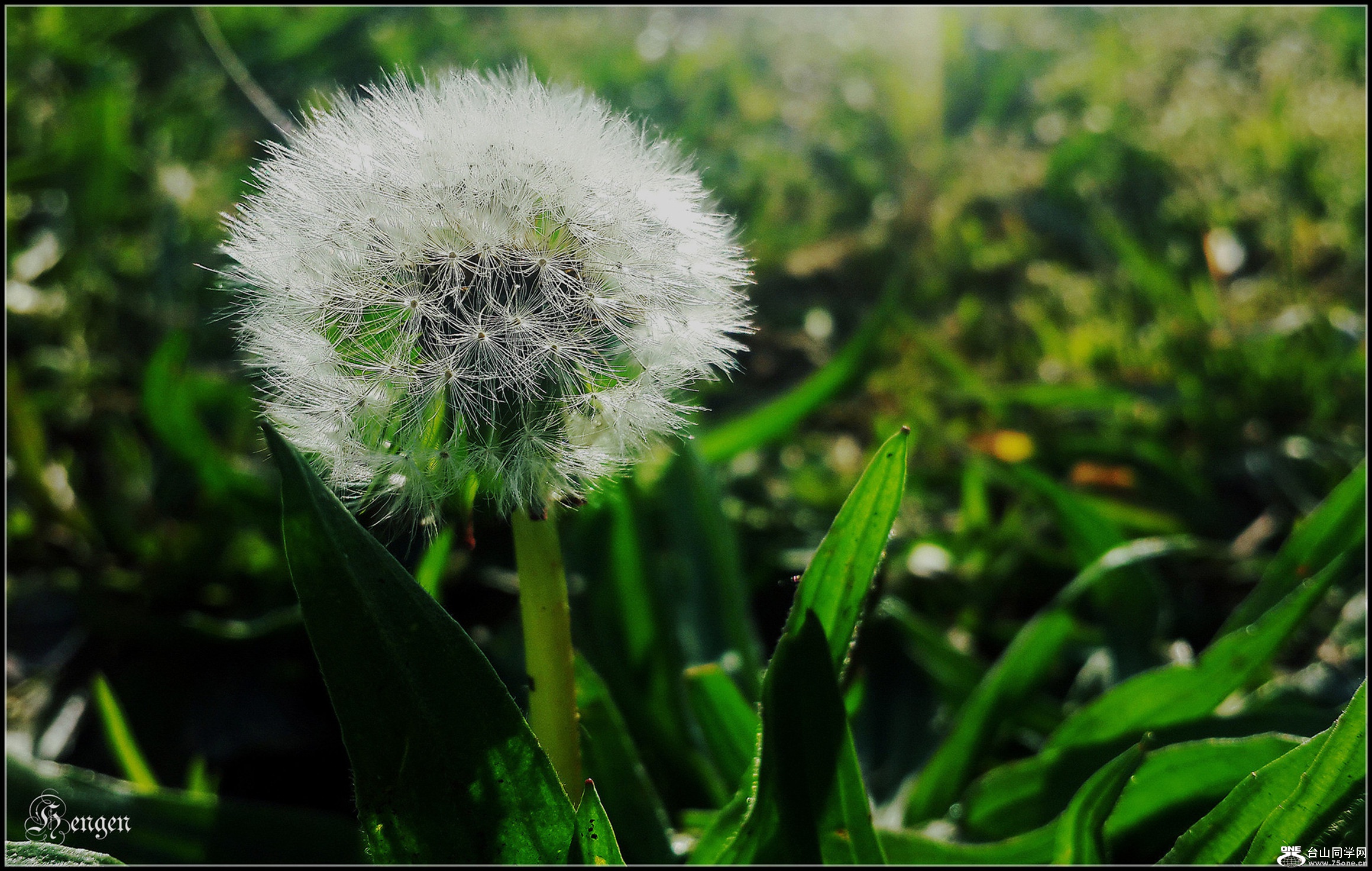 20160509_074531.jpg