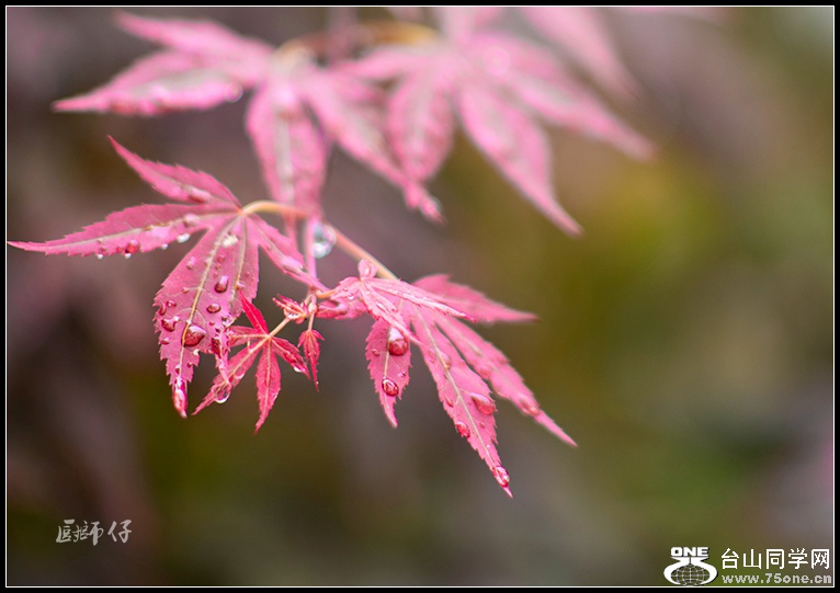 DSC_8457.jpg