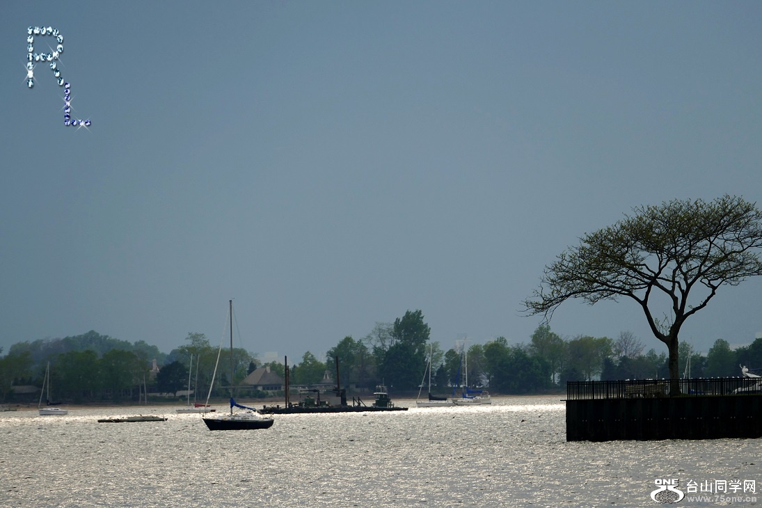 l2800374_conew2.jpg